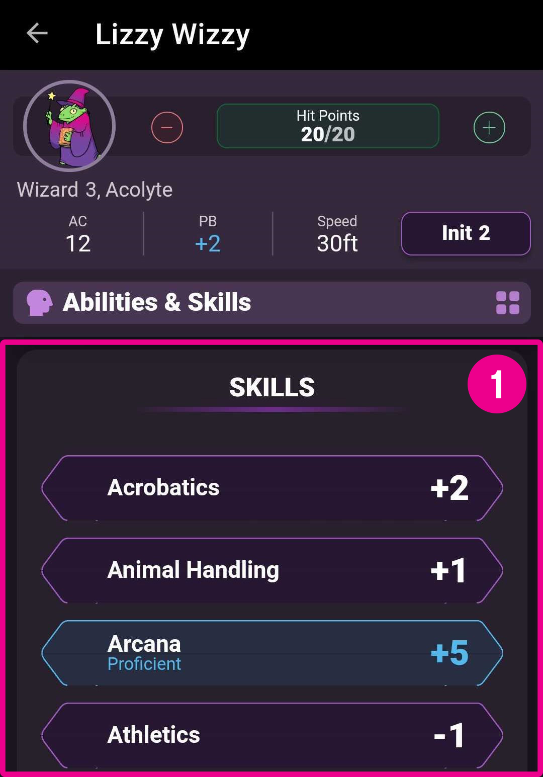 6._skills_5e.jpg